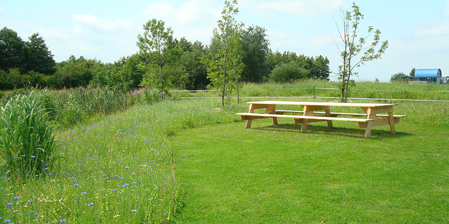 groen-gezondheid-tuinontwerp-greta-backer-landelijk-bloemenweide