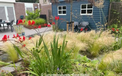 Sfeervolle, kleine vijvertuin (Glimmen)